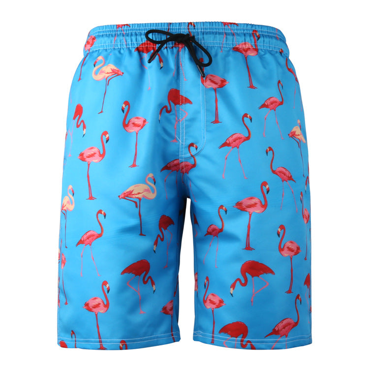 Men's Flamingo Print Beach Shorts and Sports Pants