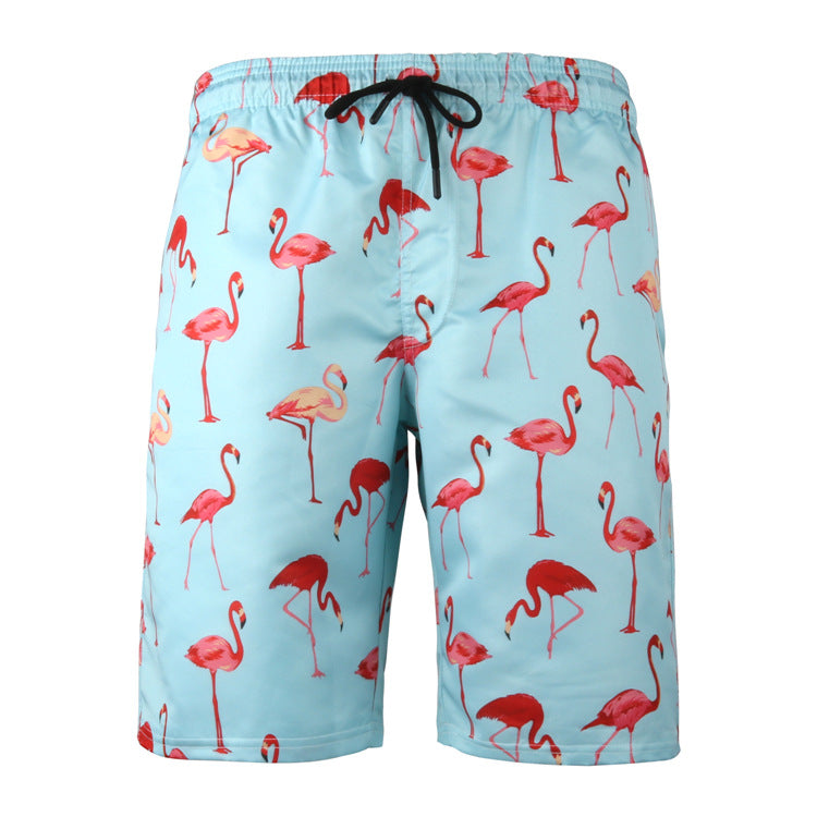 Men's Flamingo Print Beach Shorts and Sports Pants