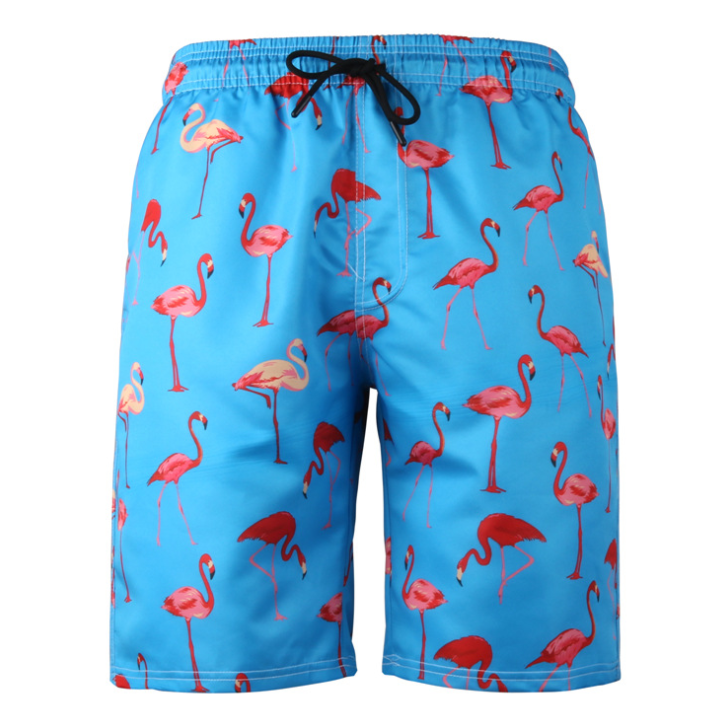 Men's Flamingo Print Beach Shorts and Sports Pants